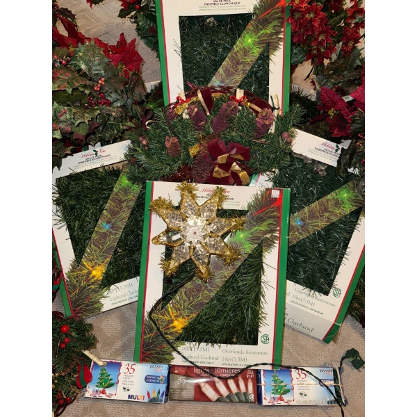Holiday Decor , Poinsettias & More