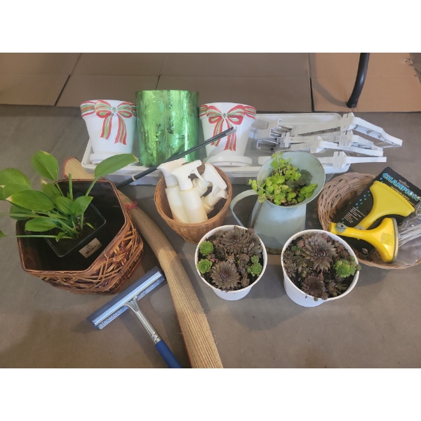 Green Thumb Goodies - Live Perennials - Succulents - Spring Botanicals - Gear & More