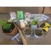 Green Thumb Goodies - Live Perennials - Succulents - Spring Botanicals - Gear & More