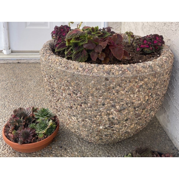 Large Concrete Planter w/ Contents w/ Terra Cotta Planter Stuffed w/ Succulents 