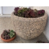 Image 1 : Large Concrete Planter w/ Contents w/ Terra Cotta Planter Stuffed w/ Succulents 