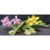 Image 1 : The Angelica Orchid Crafted in Fine Porcelain and the Glossy Amethyst