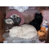Image 1 : Cat Figurine and Decor Collection