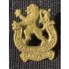 Image 1 :  Veterans Guard of Canada Cap Badge from WWII