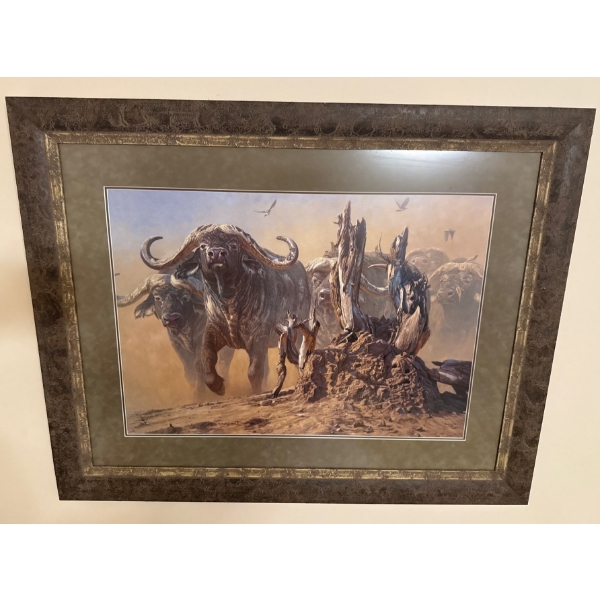 Wildlife Art Print "Cape Thunder" By John Banovich