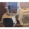Image 1 : Three Small Pet Kennels.  Largest 16 w, 14 h, 20 d