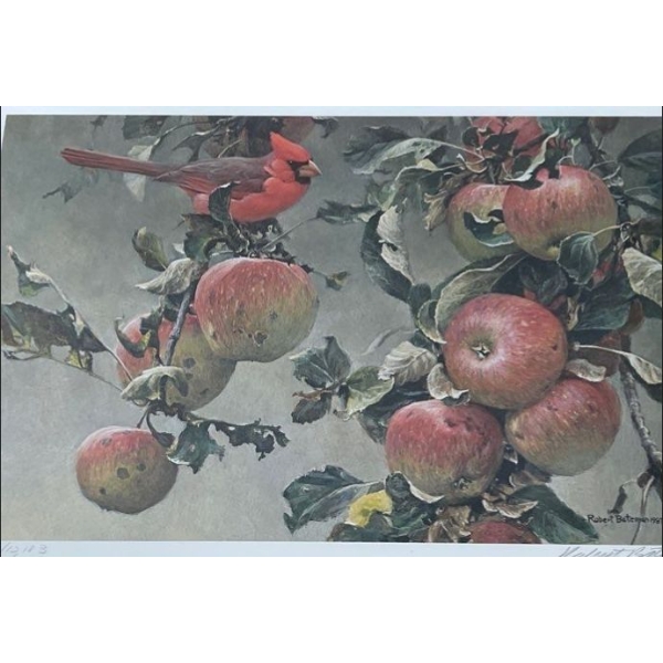 Robert Bateman's - Cardinal And Wild Apples - Unframed Limited Edition Print Signed 