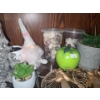 Image 3 : Assorted Decor Including: Rae Dunn Gnome w/ Flower Pot 6 W, 8 T, Frog Teapot and More!