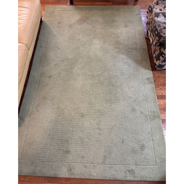 Manor Park Collection Green Fabric Rug, Red Stain, 5.00x8.00