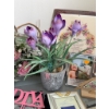 Image 4 : Home Decor With Frames and Signs