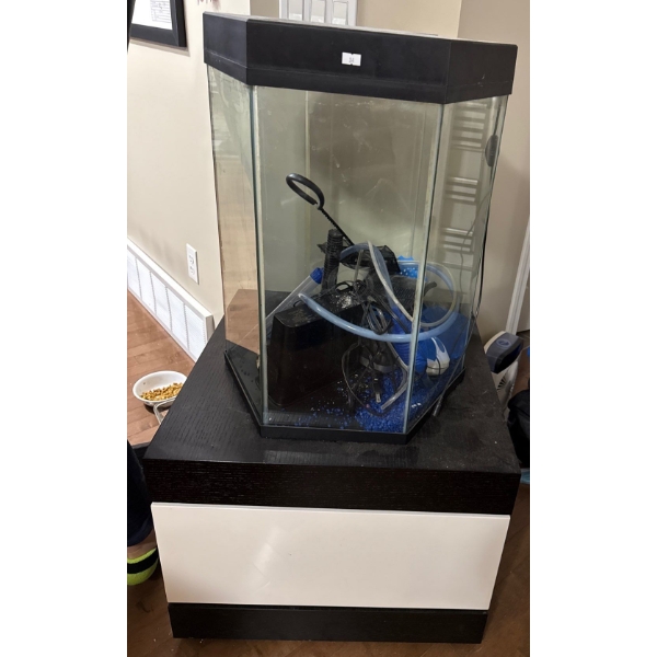 20 Gallon Hexagonal Aquarium / Terrarium 25T w/ Contents & Stand  