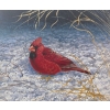 Image 1 : Randy Fehr "Red Cardinal" Signed Print