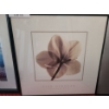 Image 3 : Christmas Rose by Alan Newmhan 20 w 20 h & Cherry Blossom Photo Print 24 1/2 w 21 1/2 h