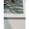Image 3 : " Pintails in Spring" Signed Robert Bateman Print 