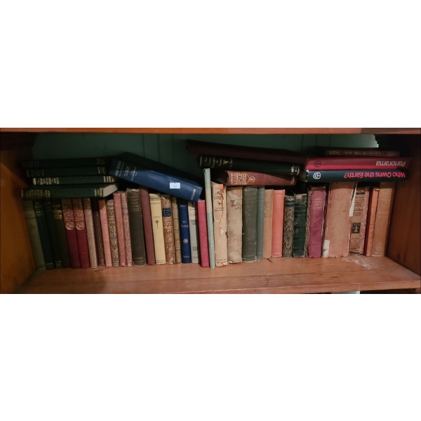 Classic Books Including: "Panorama", "The History of Tom Jones V1 and V2", and More!