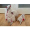 Image 1 : Decorative Llama Mama & Baby 