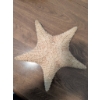 Image 5 : Coastal Collection: Nautical Shadow Box, Seahorses, and Giant Starfish