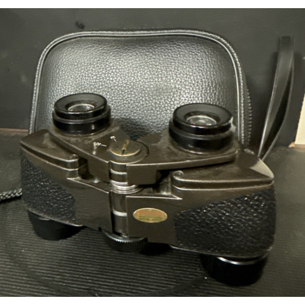 Japanese Binoculars w/Case