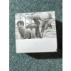 Image 3 : 2010 $3 Square Coin - Polar Bear