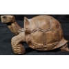 Image 4 : Hand-Carved Wooden Land Turtle Figurine, 10 Inches Long