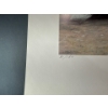 Image 3 : Alex Halliburton Down from the Tundra 16Tx22W, My Turn 14.5Tx19W, Borders and Boots 11.5Tx22W