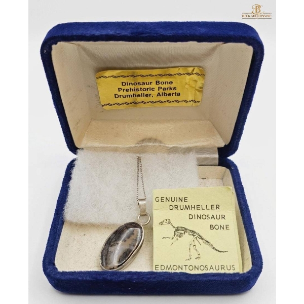 Pendant with Genuine Drumheller Dinosaur Bone in Original Box