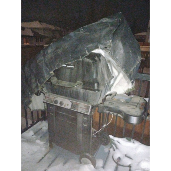 Fiesta Dynasty 450 BBQ 82 000 BTU 162-733