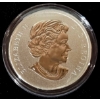 Image 2 : 2013 25¢ Birds of Canada: American Robin - Coloured Coin 