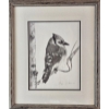 Image 2 : Framed Pencil Sketch Of A Blue Jay Perched On A Branch 14''WIDTH , 17''HEIGHT INCHES.