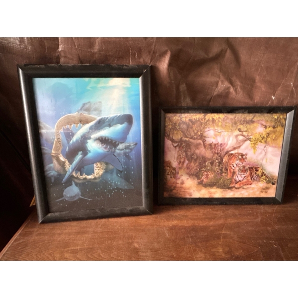 3D Photos of Shark and Tigers-One Not Pictured of Fish