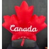 Image 3 : Game Time !! Fantasy NHL Scoreboard & Inflatable Motorized Maple Leaf