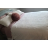 Image 3 : Double Upholstered  Bedframe 56 w, 48 h, 78 d, Mattress/ Boxspring and Bedding Included
