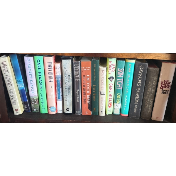 Assorted Books/Novels- The Secret Keeper, Liar's Game, Skin Tight, Im Your Man