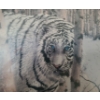 Image 3 : Snow Tiger Print - Artist Robert R. Copple, 43.5 X 28 Framed Under Glass 