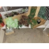 Image 2 : Captivating Faux Floral Winter Bouquet w/ Assorted Winter Greens 
