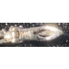 Image 4 : Ben Moss 14K White Gold Tennis Bracelet 8.6 Grams
