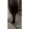 Image 5 : Antique Art Nouveau Straw Chair on Wheels, Ornately Carved, Slight Scratch on Back - 27W, 41T