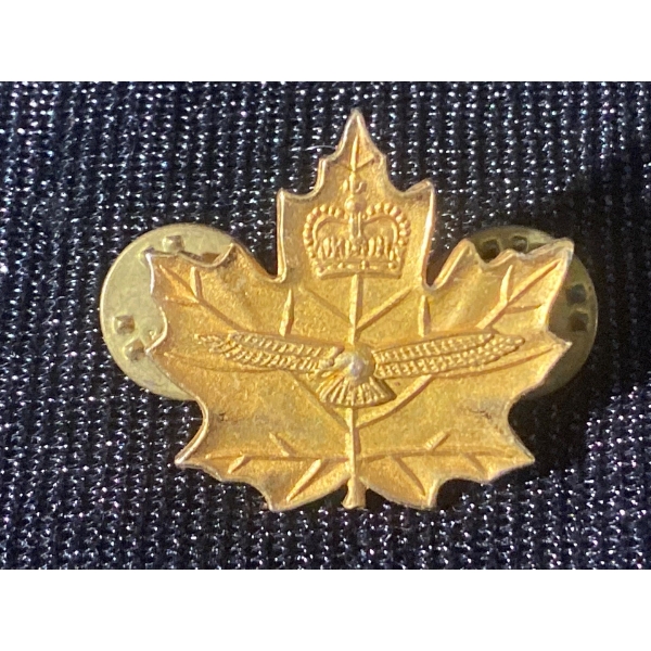 Canadian Cadet Instructors Cadre Air Officer Collar Badge