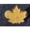 Image 1 : Canadian Cadet Instructors Cadre Air Officer Collar Badge