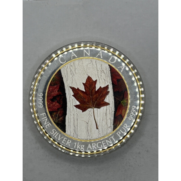 $250 99.99% Fine Silver Coin 1kg