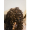 Image 6 : Creepy Doll Collection - May Be Haunted lol 30T