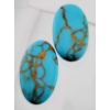 Image 1 : Turquoise (41 ct, 33×20 mm)