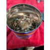 Image 1 : Tin of Canadian and American Pennies