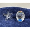 Image 1 : Starfish and Salt Lake 2002 Olympics Glass Decor