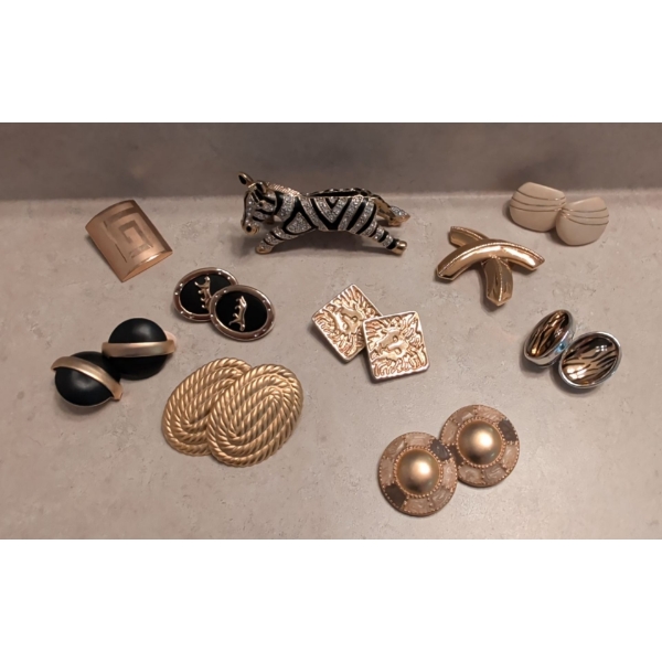 Clip on Costume Earrings and Brooches