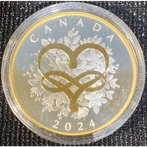  2024 Celebrate Love $20 Fine Silver Gold Plating Coin