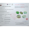 Image 3 : 7.79 ct Certified Zambian Emerald gemstone Parcel ($11,685 Appraisal)