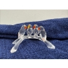 Image 1 : Swarovski Crystal Parrots on Branch 2.25H
