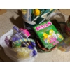 Image 15 : large amount of Easter decorations.