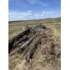 Image 3 : Large amount of firewood 